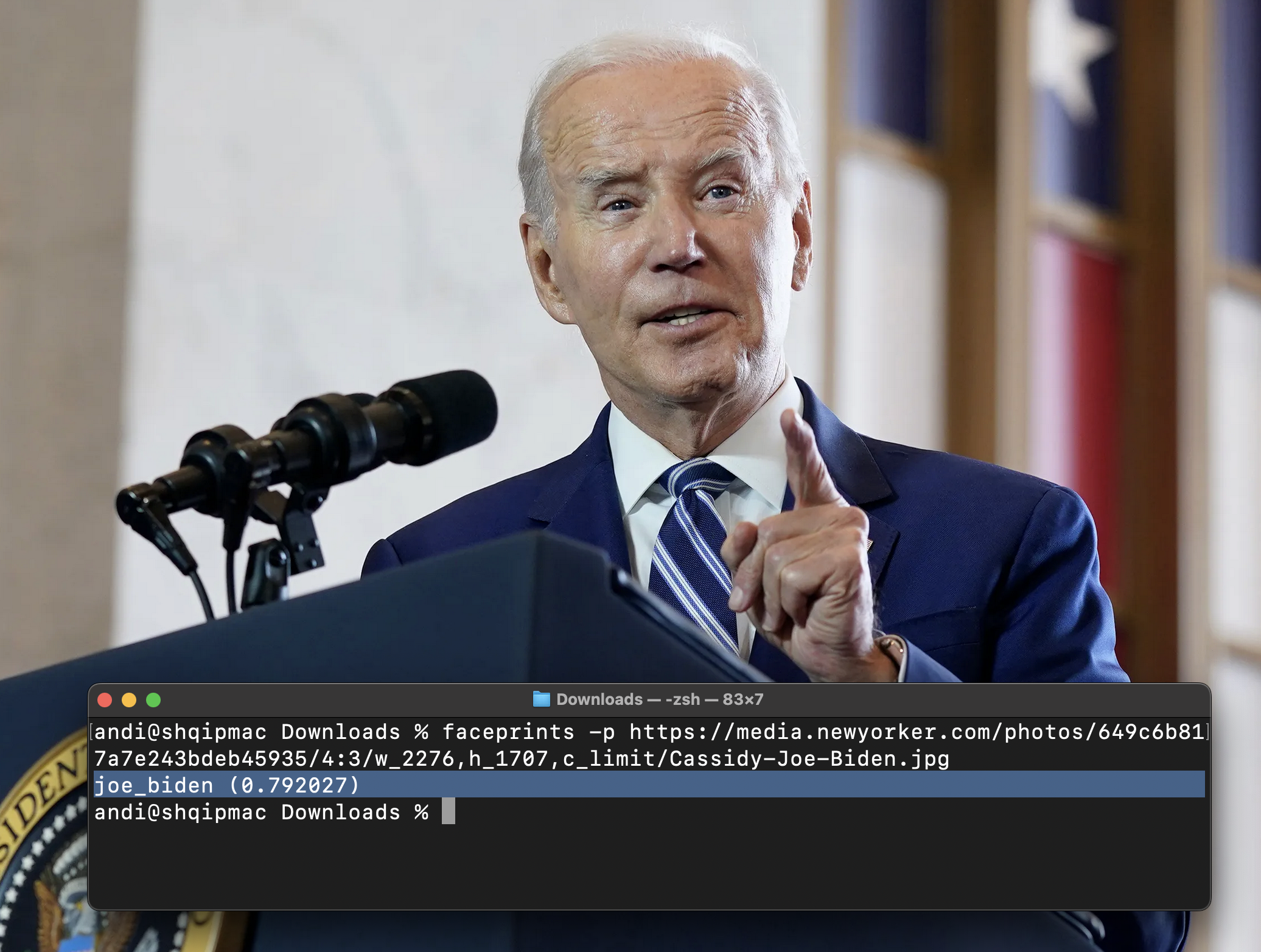 Joe Biden plaintext classification