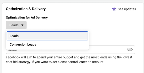 facebook messenger ad optimization and delivery setup