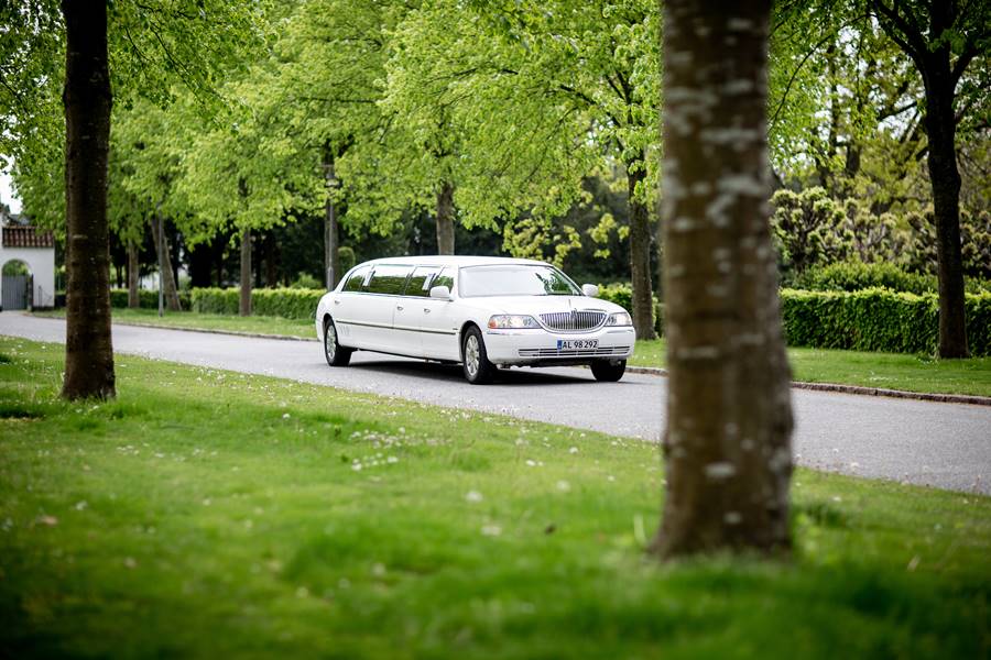 Featured image of post What Does Your Limo Rental Include?