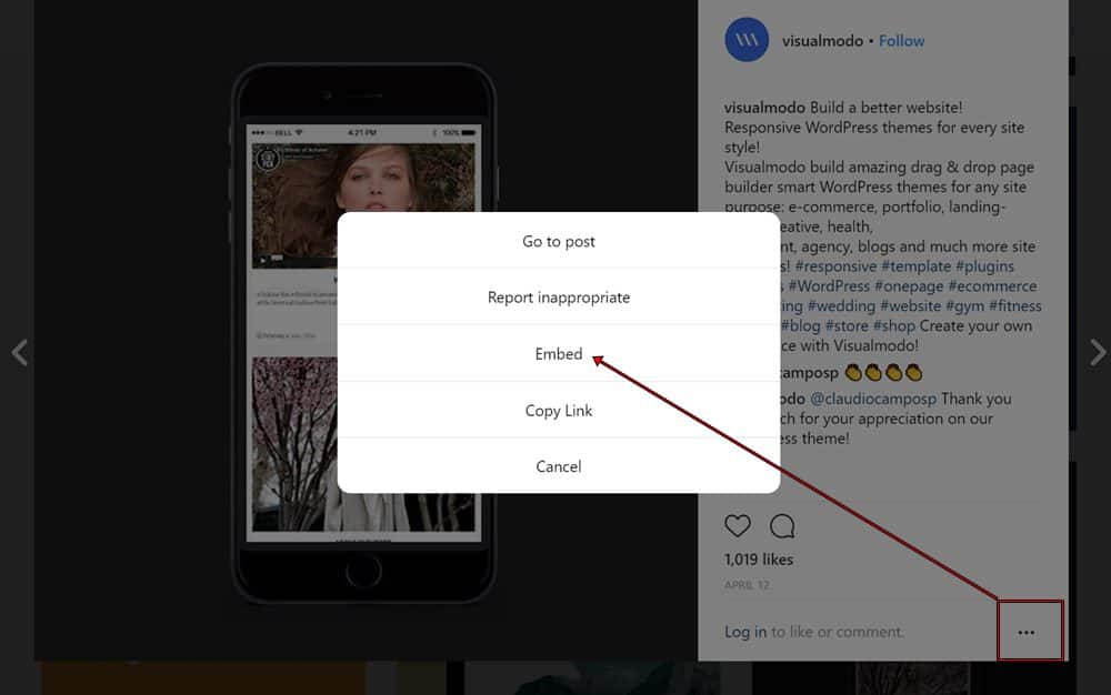 Embed Instagram Photos In WordPress Posts