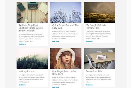 How to Customize WordPress grid shot content 