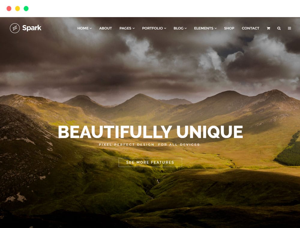 Featured image of post Top WordPress Theme for Photography