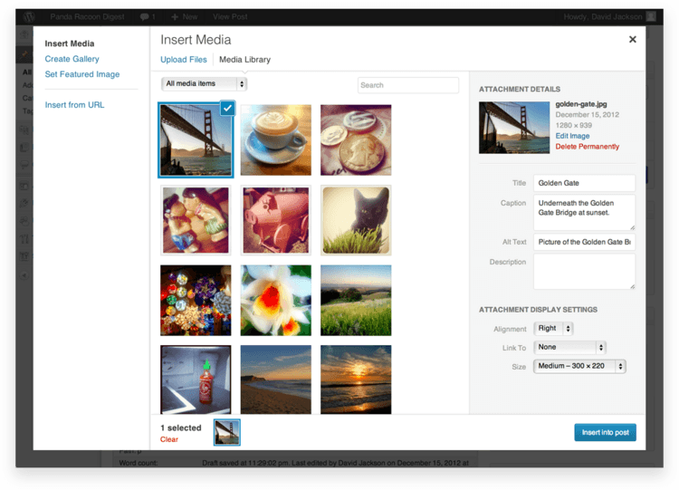 Featured image of post Inserting Images into WordPress Posts or Pages