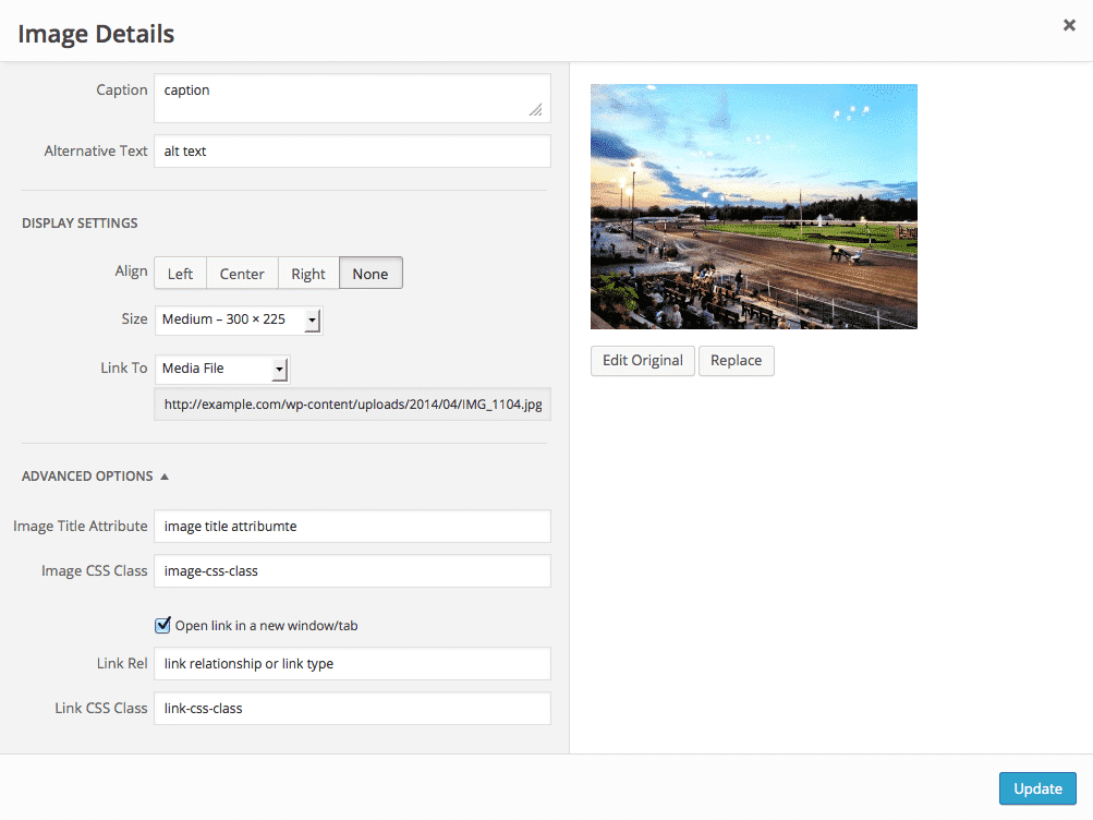 Adding WordPress Images To Posts Or Pages