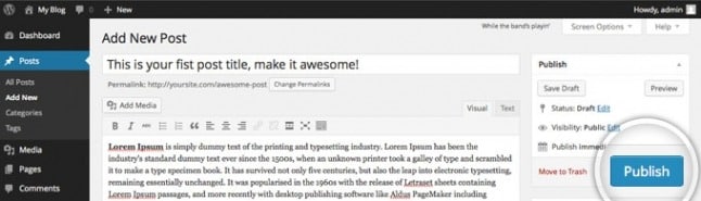 WP Editor Publish Button 