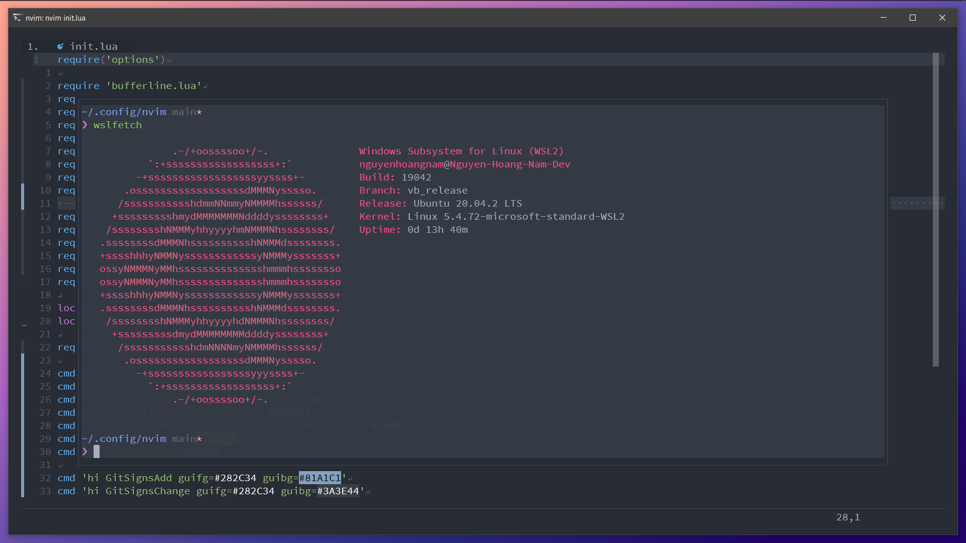 neovim-config-wsl2