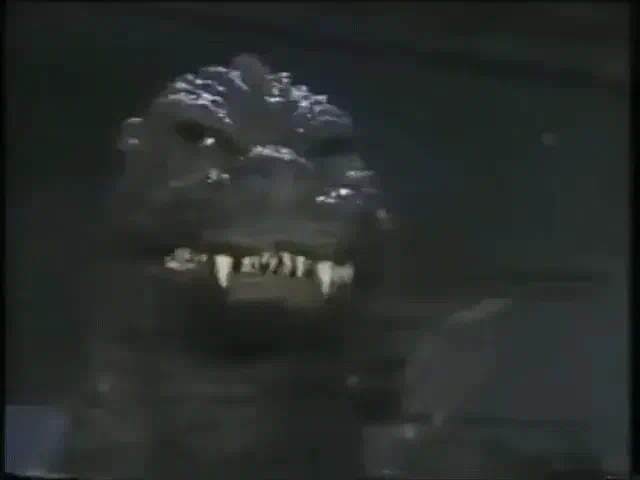 If you're seeing this it means something is broken :c