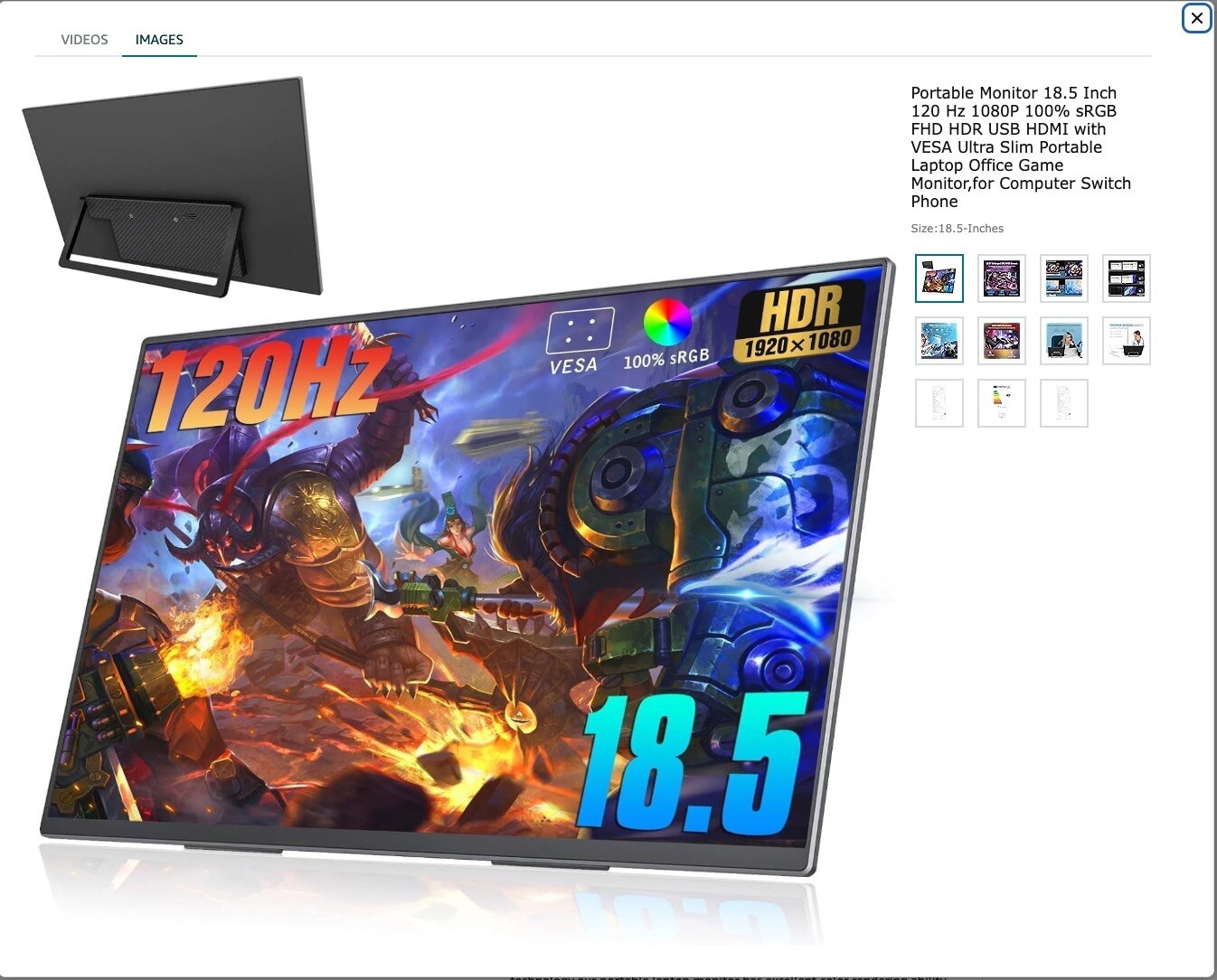 Motyeowe OLED Monitors 18.5in - X2