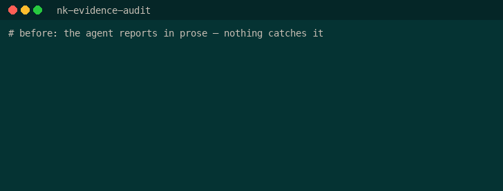 nk-evidence-audit demo