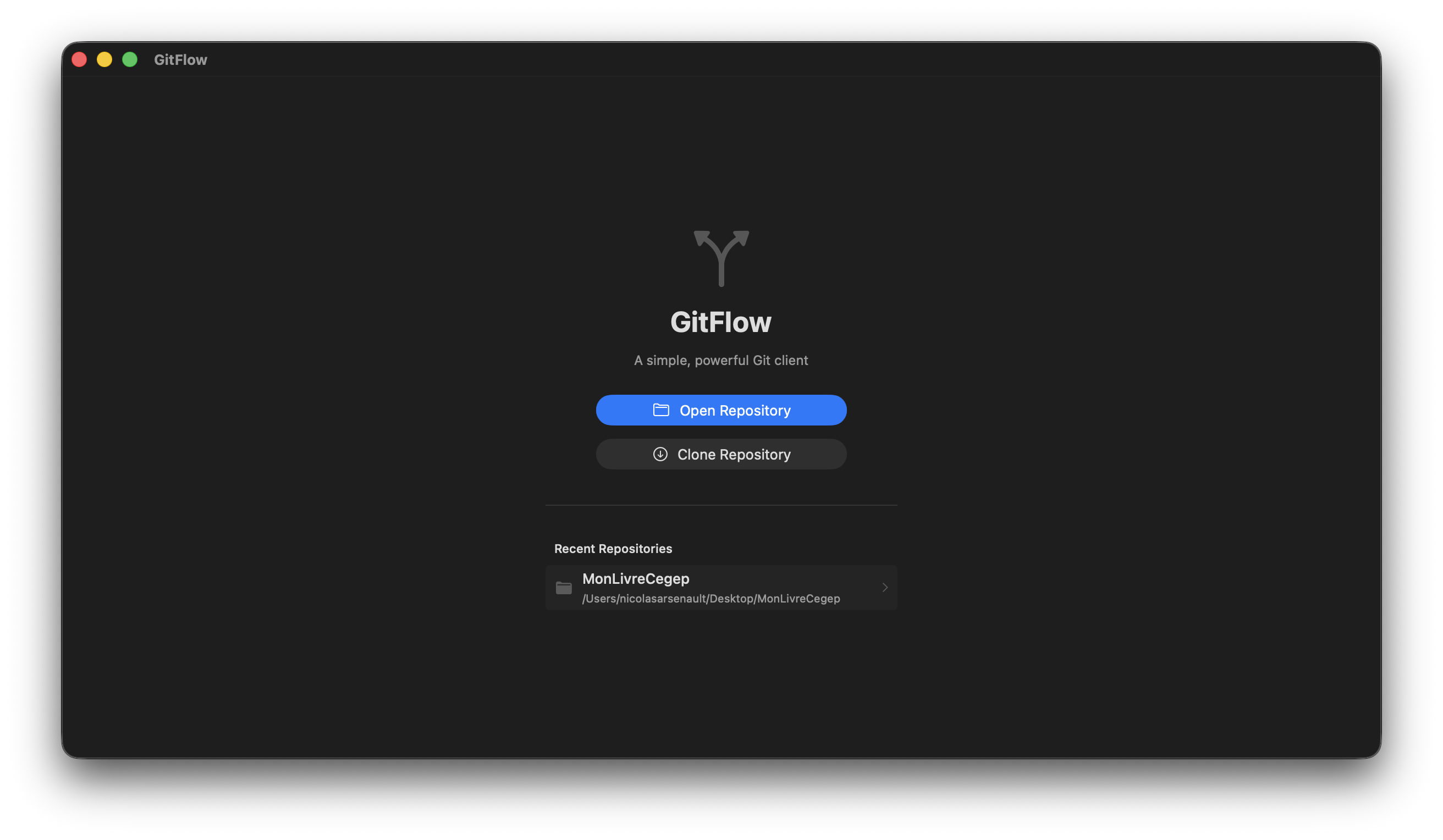 GitFlow screenshot 1