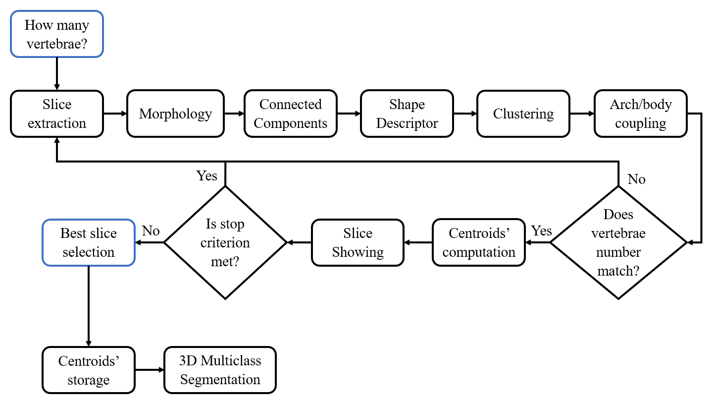 MultiClassSegmentationWorkflow