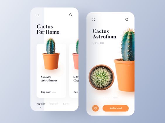 Cactus APP UI screenshot