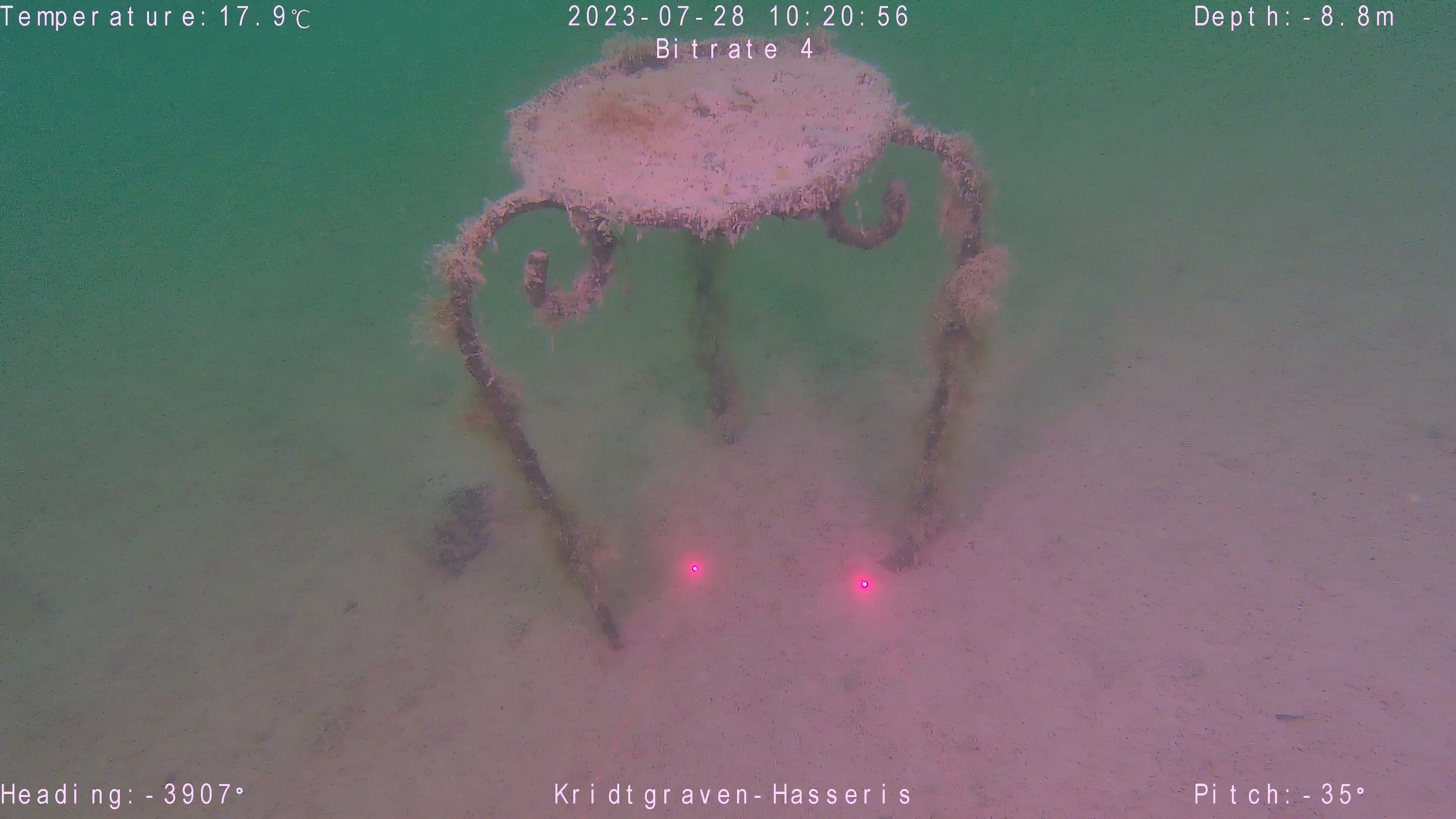 white balance applied