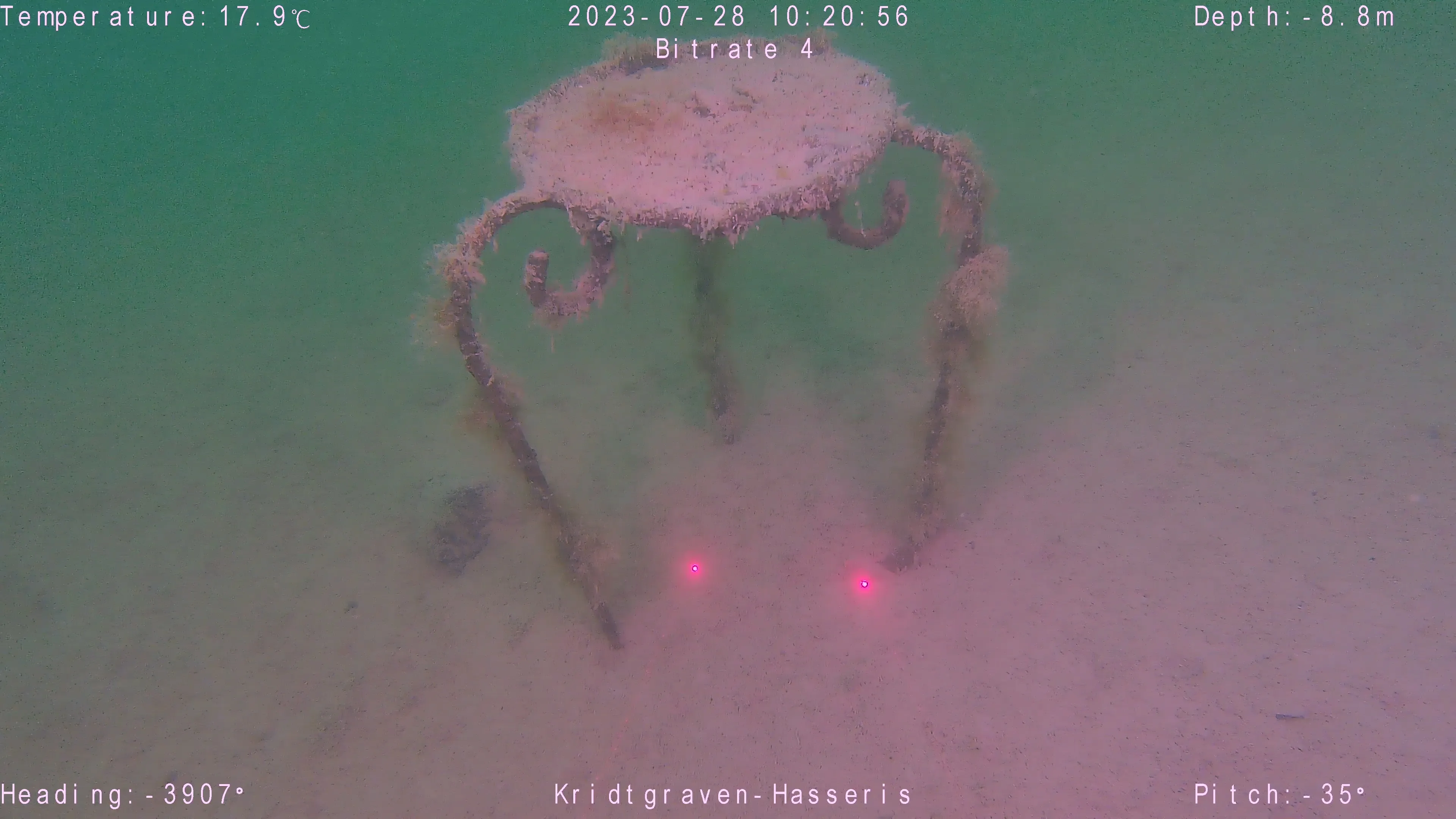 white balance applied