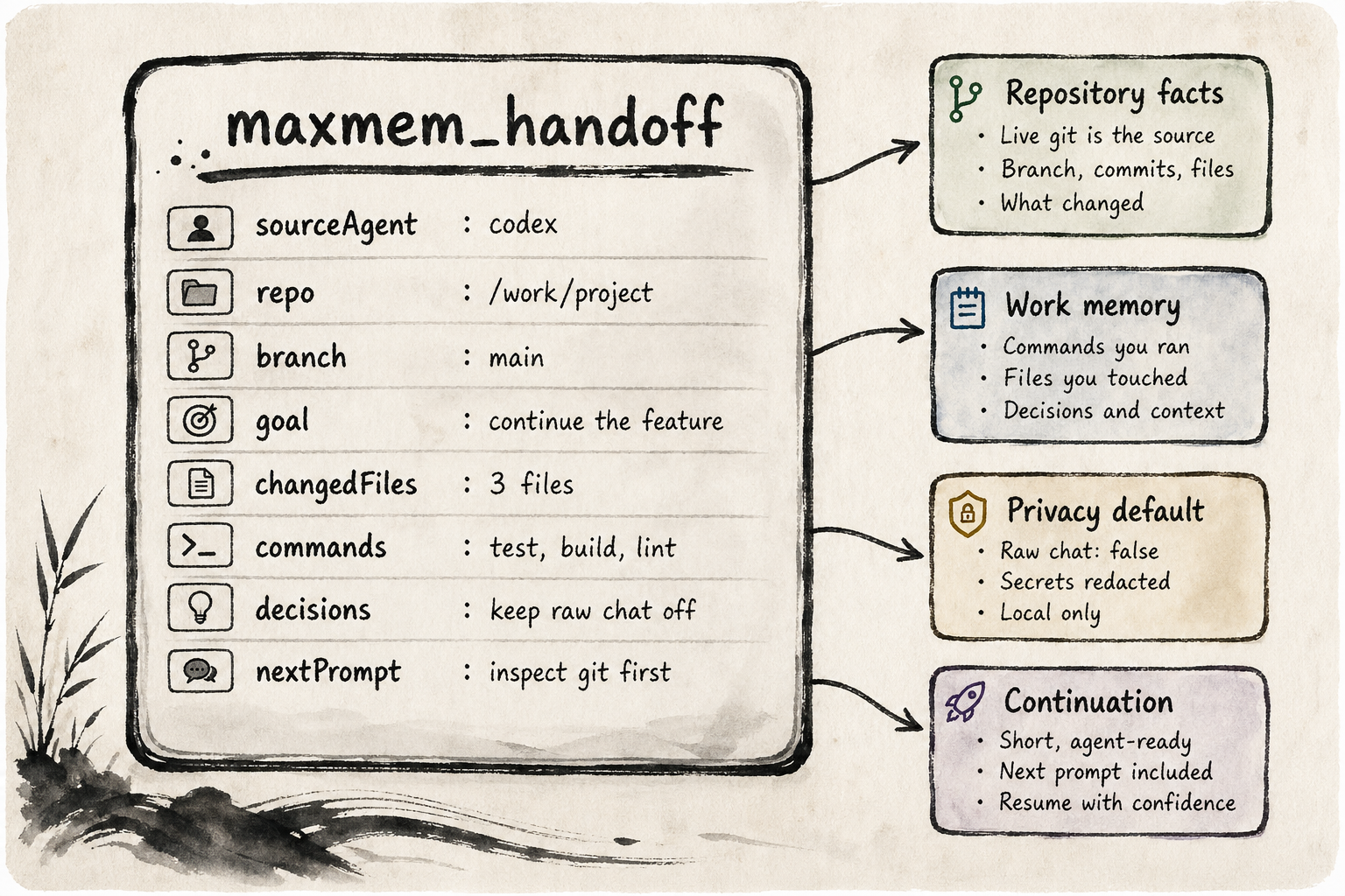 MaxMEM capsule anatomy