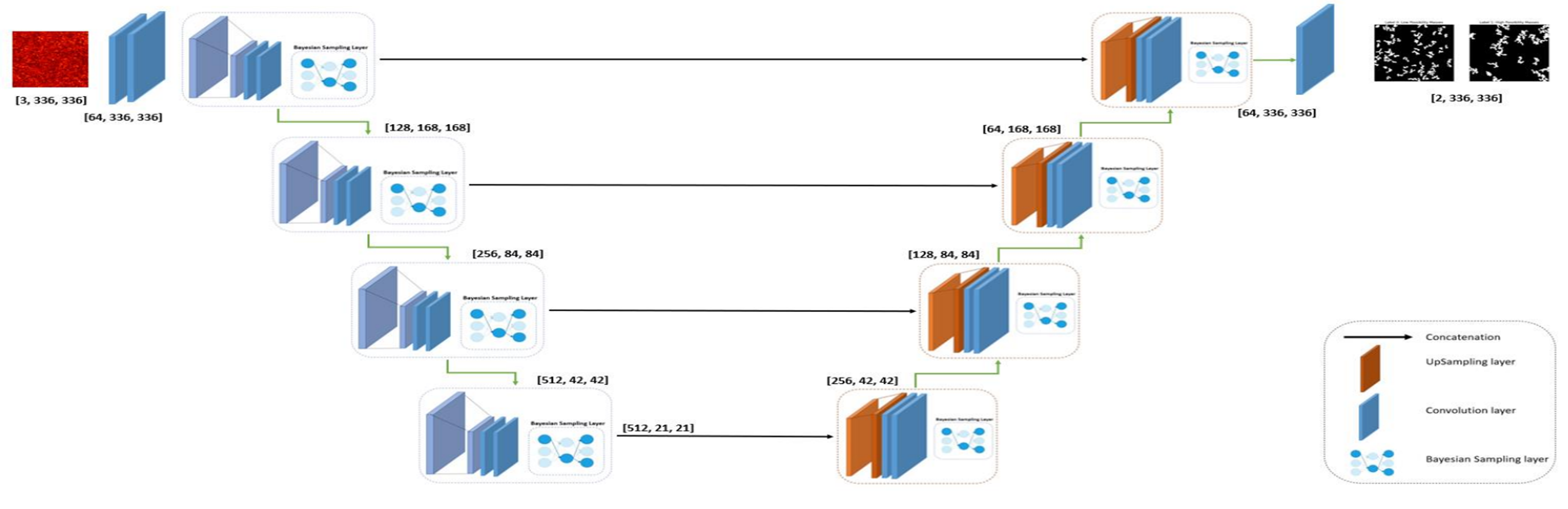 Network Architecture