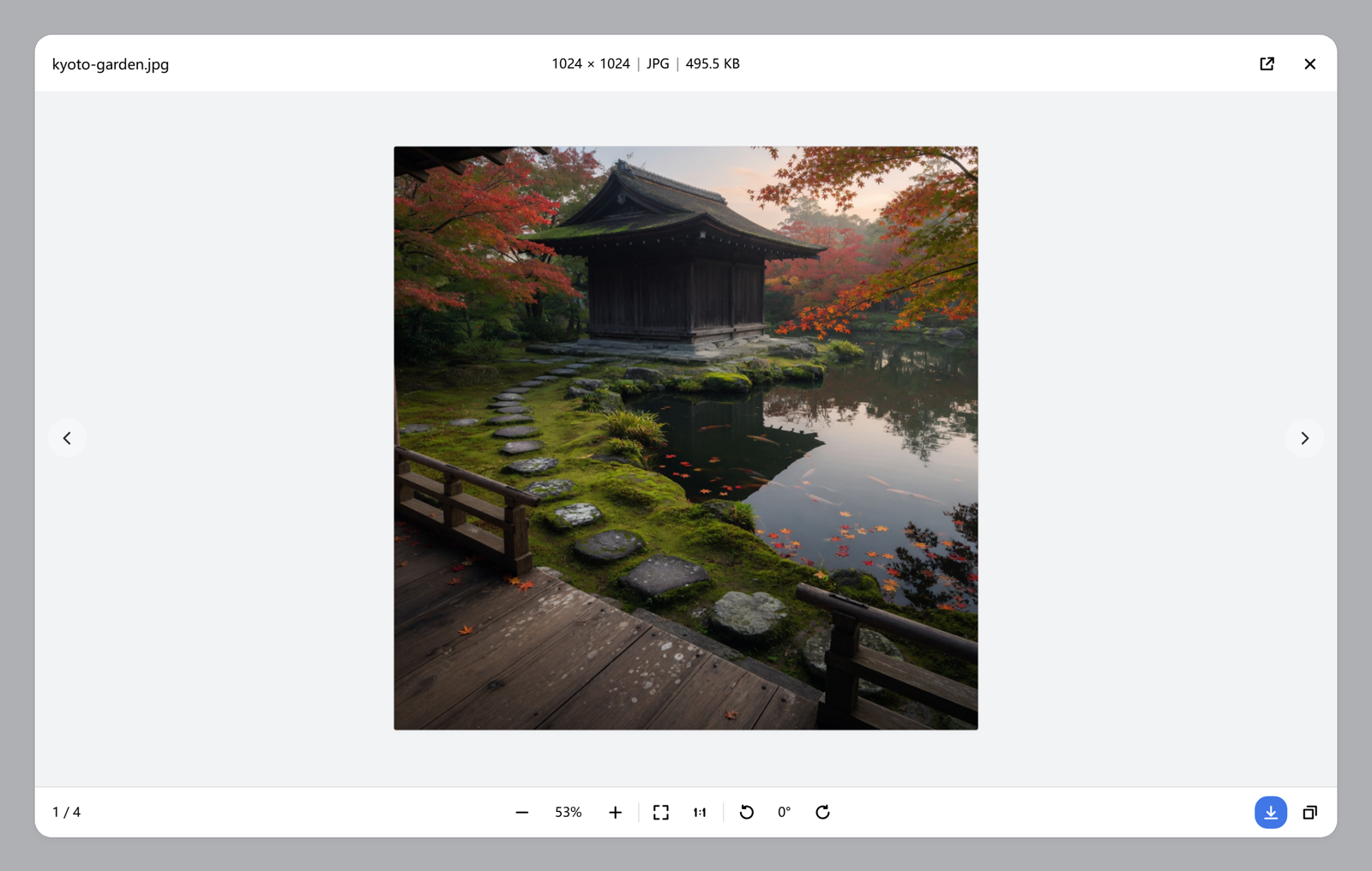 Viewer preview