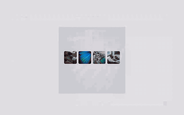 dsh-image-viewer-pro