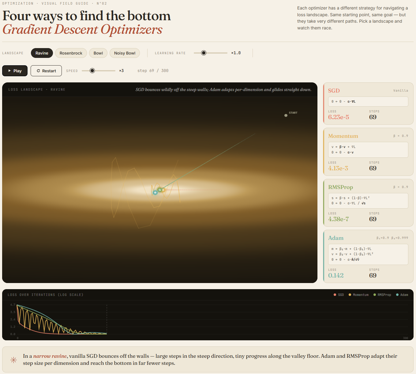 Gradient descent optimizers visualization preview