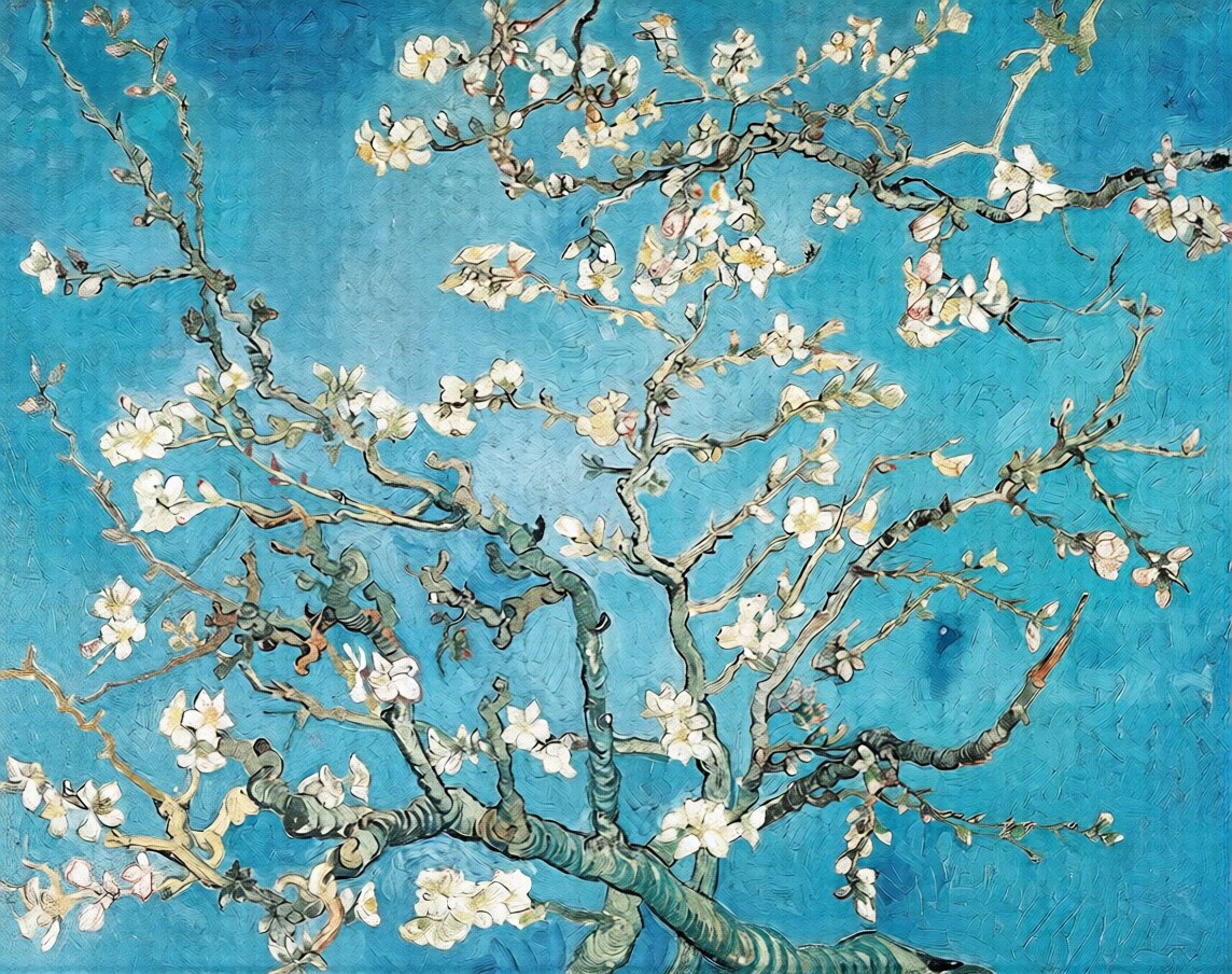 Theme Background 5
