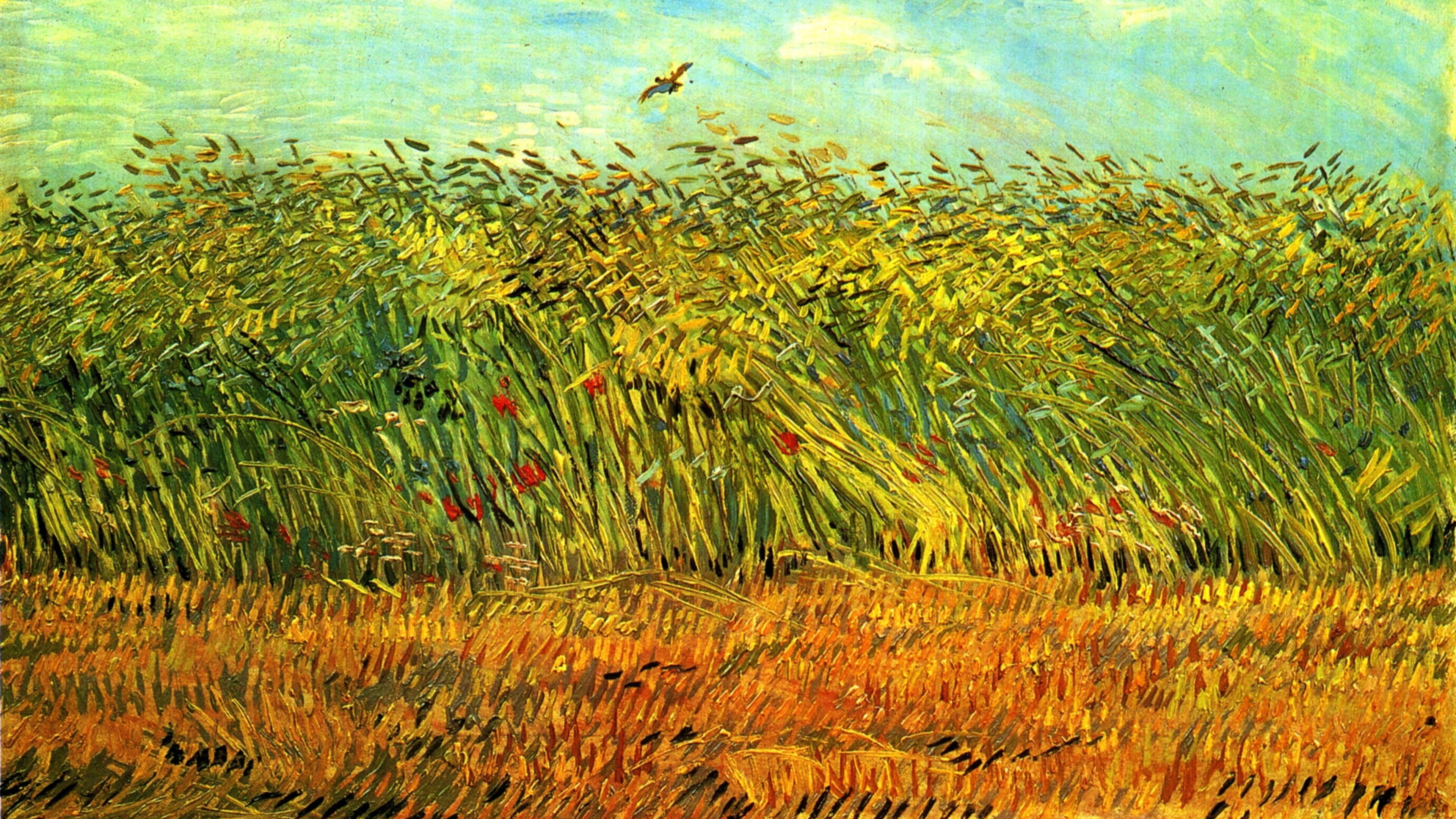 Theme Background 7