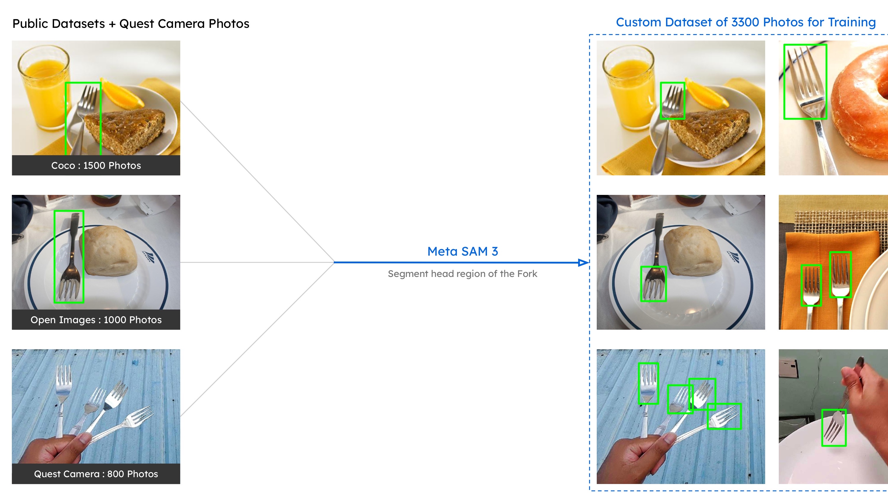 Custom fork-head dataset