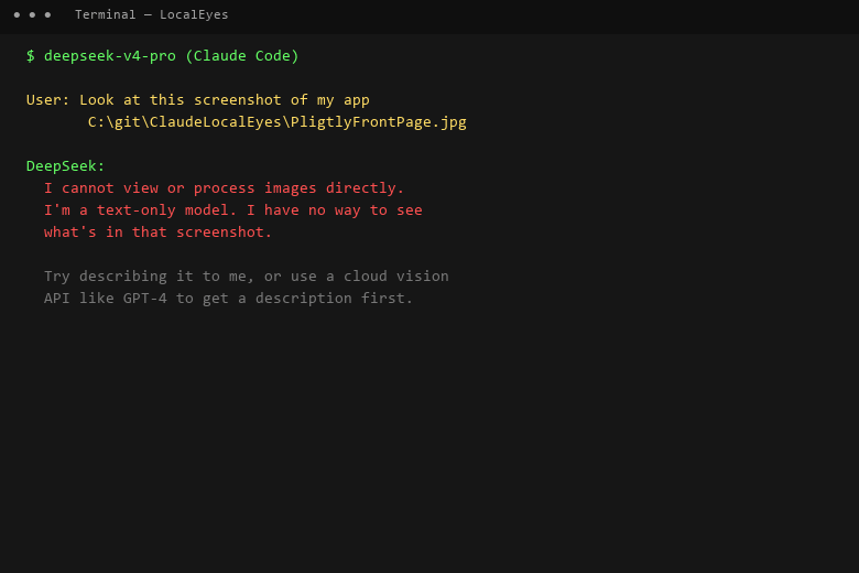 LocalEyes demo