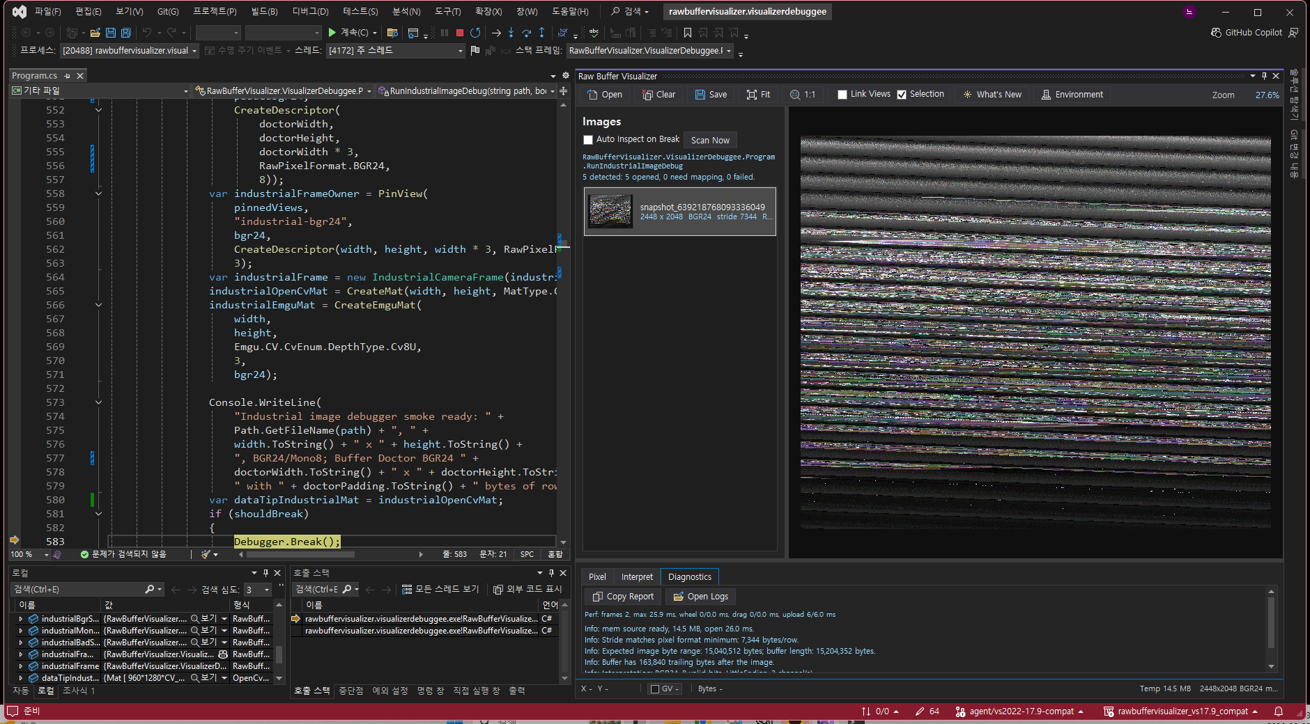 Buffer Doctor ranks color BGR24 interpretations for incorrect stride metadata