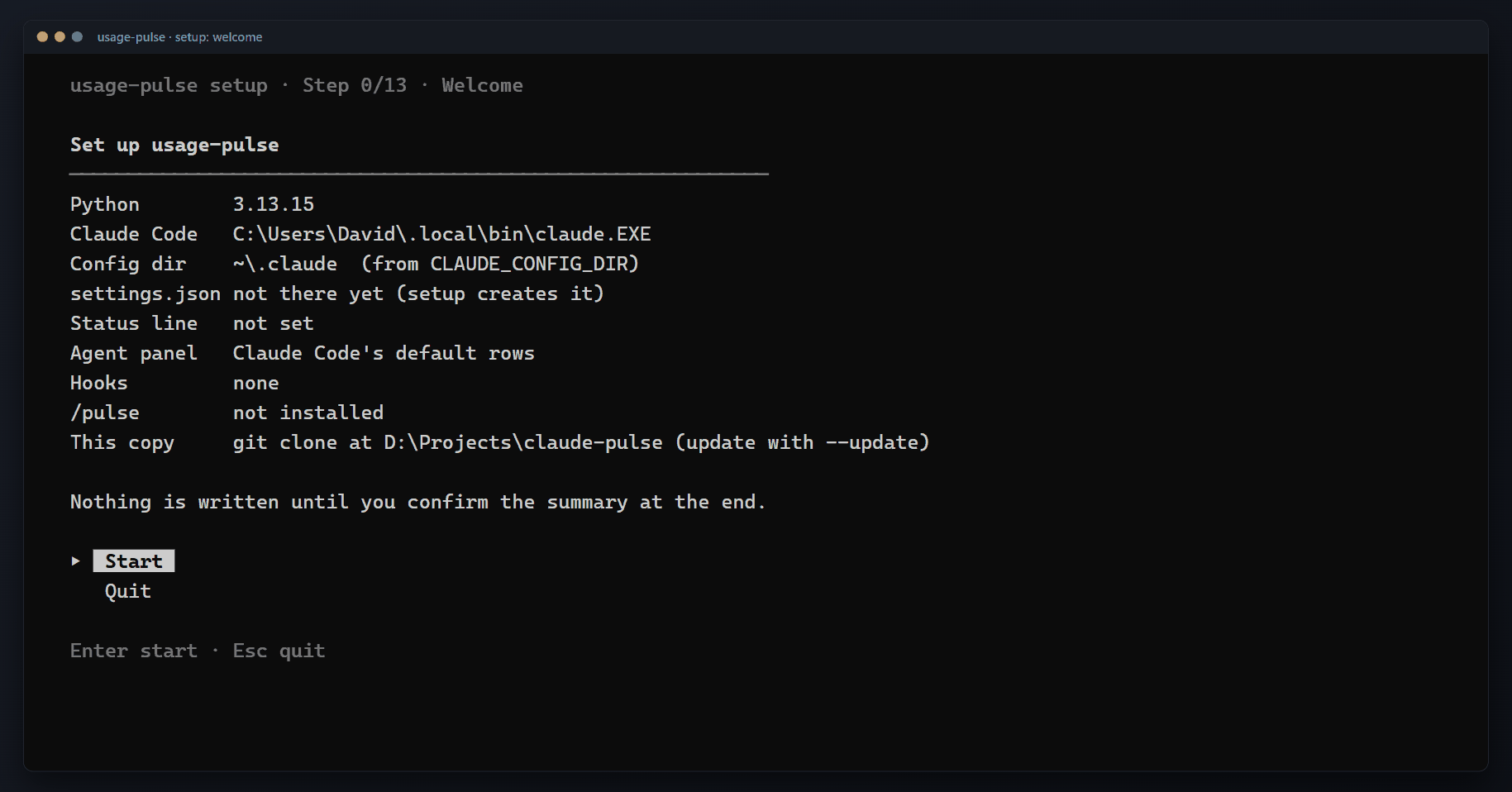 The setup wizard: environment report, hooks, the providers found on this machine, model caps, theme picker, bar style with live preview, widgets, summary