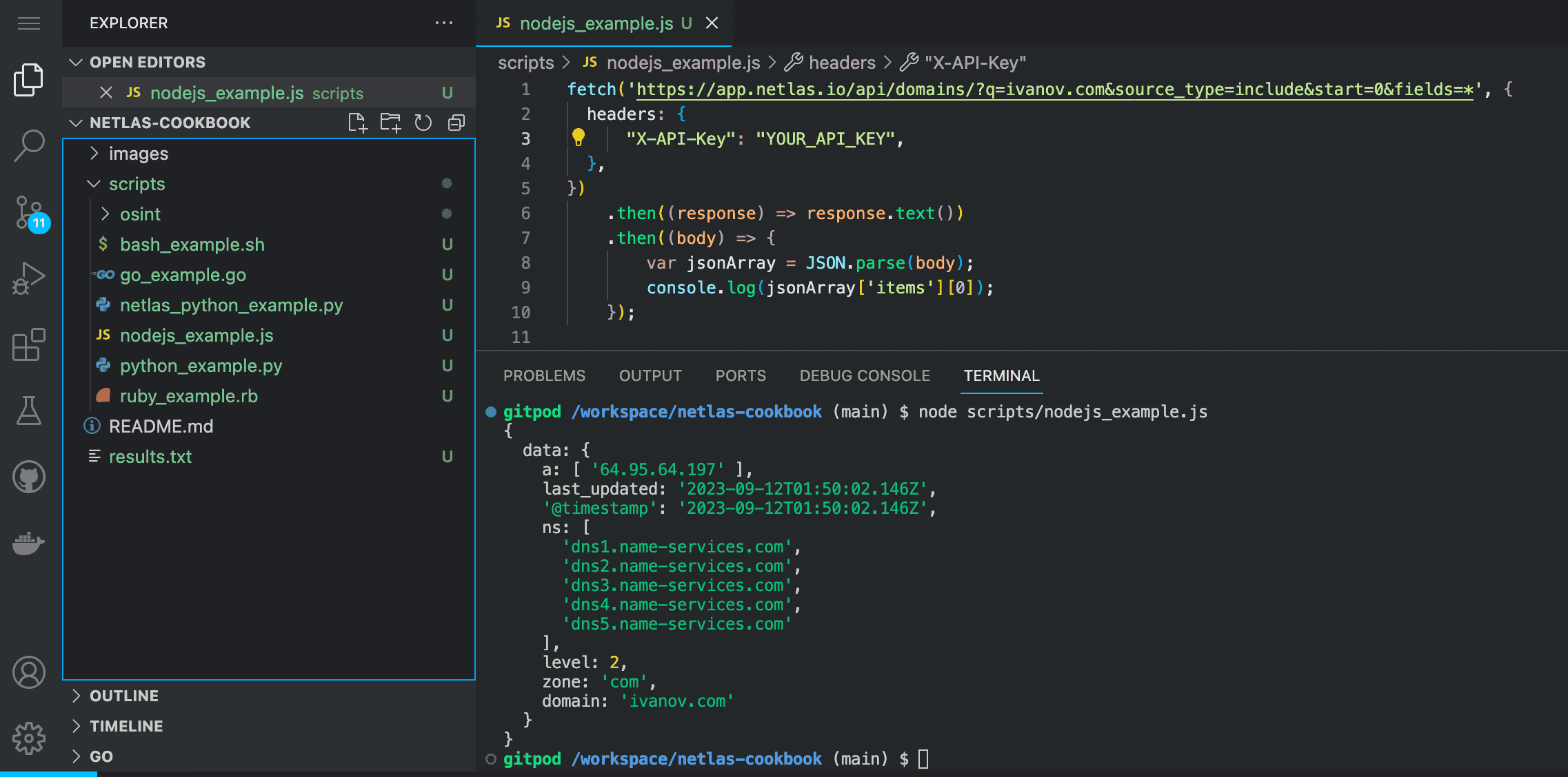 Node JS Netlas