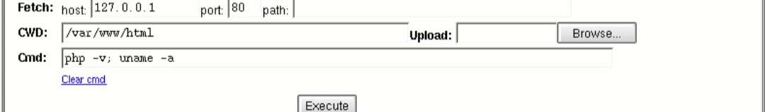 [realiste_admin_webshell.png]