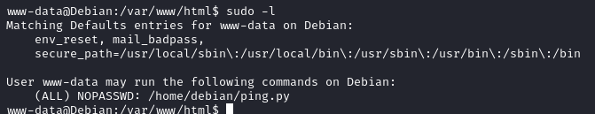 [realiste_up_sudo_l.png]