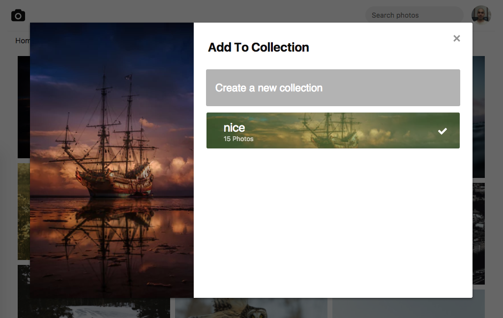 Add Image to Collections Dialog