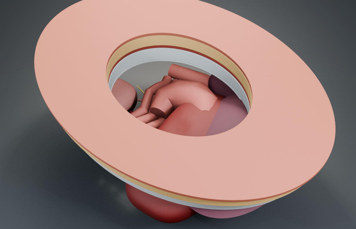 Dynamic abdominal patient