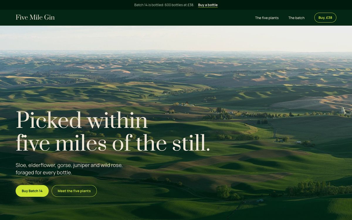 Hedgerow theme: Five Mile Gin, a distillery