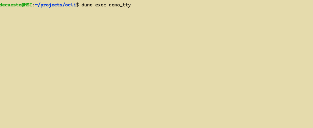 tty demo gif