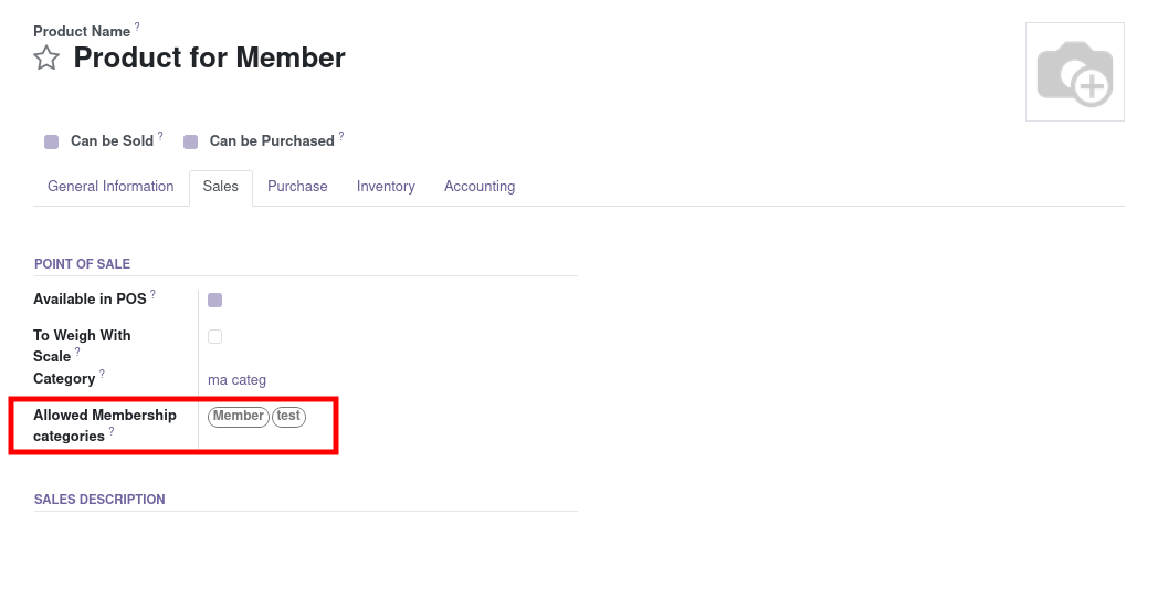 https://raw.githubusercontent.com/OCA/pos/16.0/pos_membership_extension/static/description/product_form.png