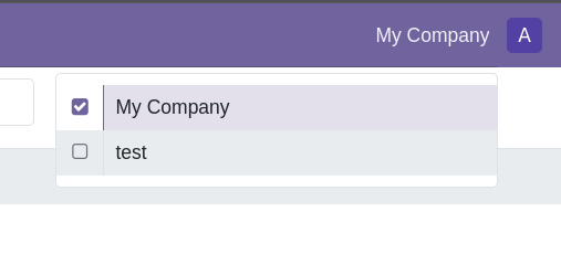 company switcher with one company selected
