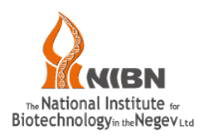 Image of NIBN
