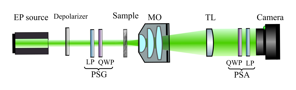 Experimental Setup