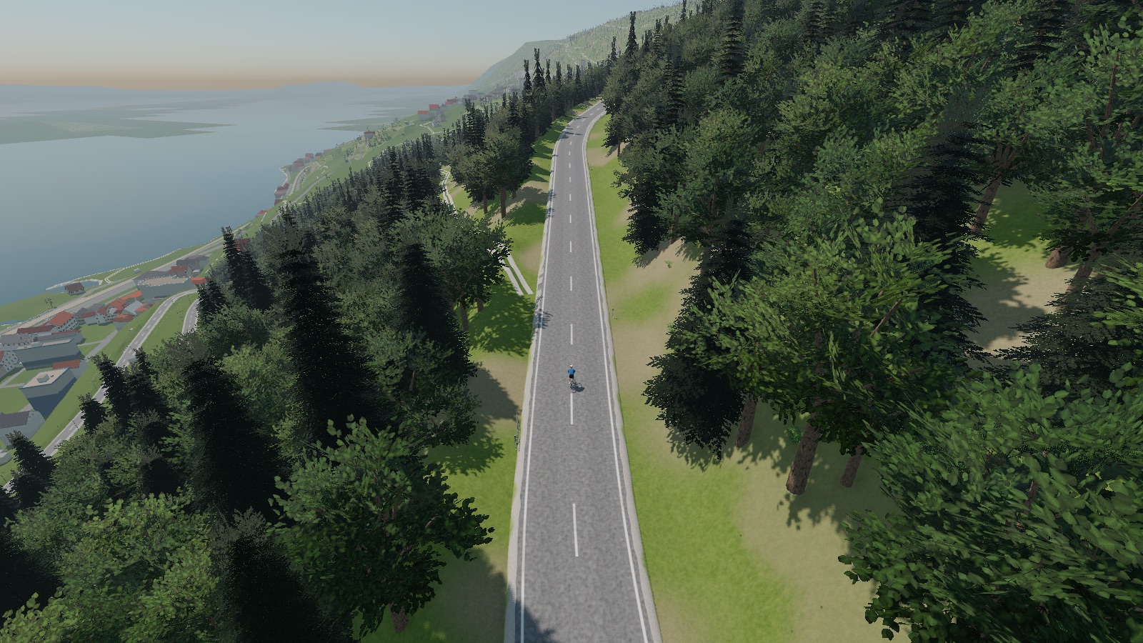 Dense woodland with automatic distant tree detail