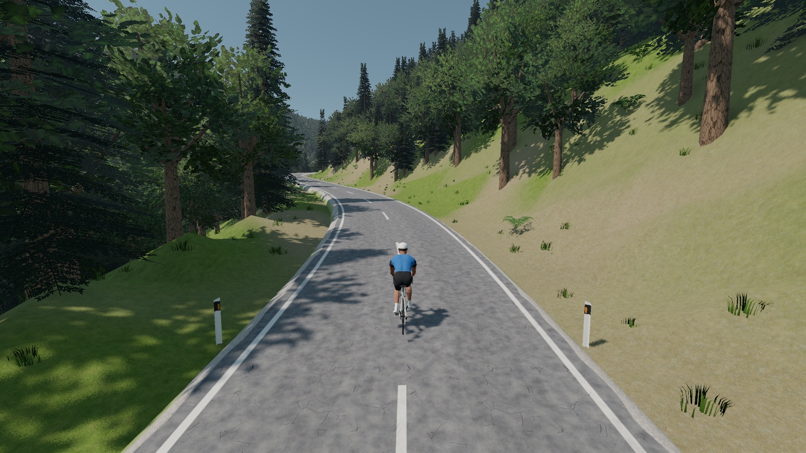 Dense woodland on Ultra