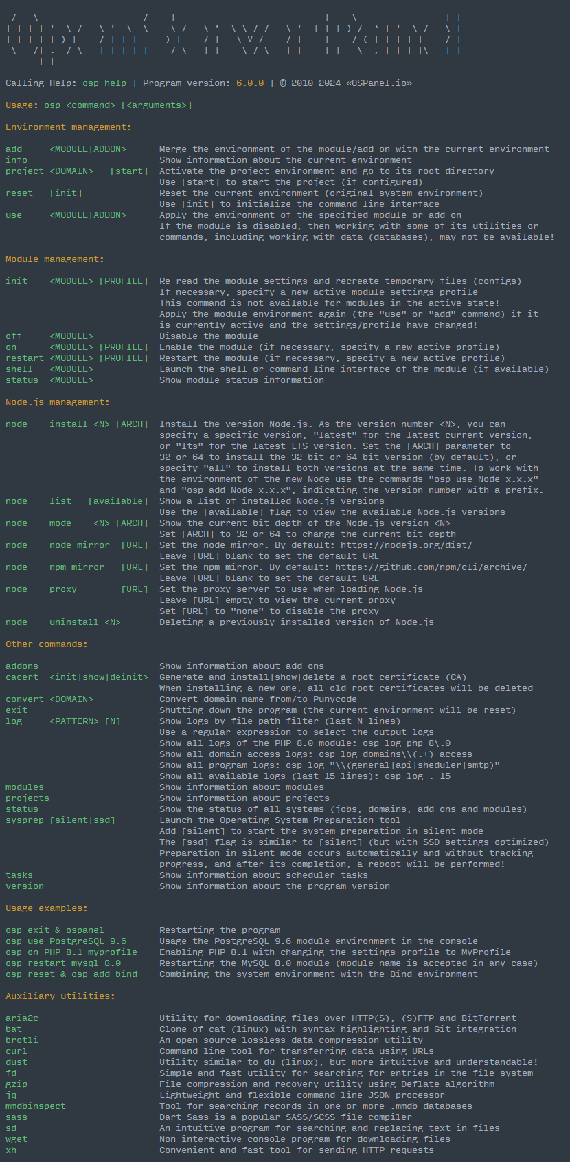 Open Server Panel Console