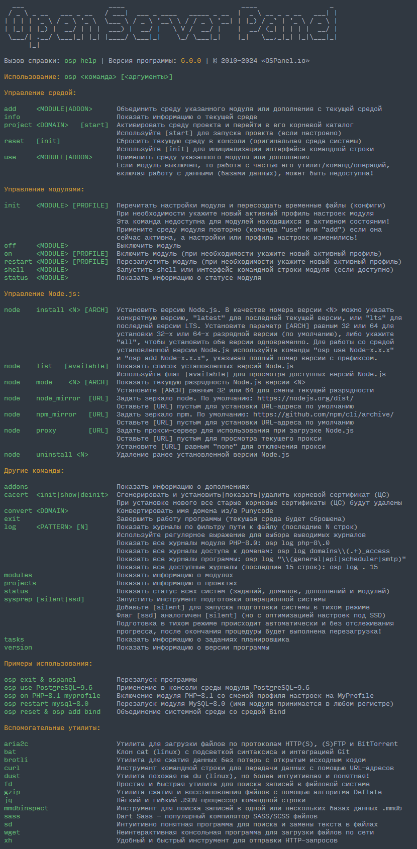 Open Server Panel Console