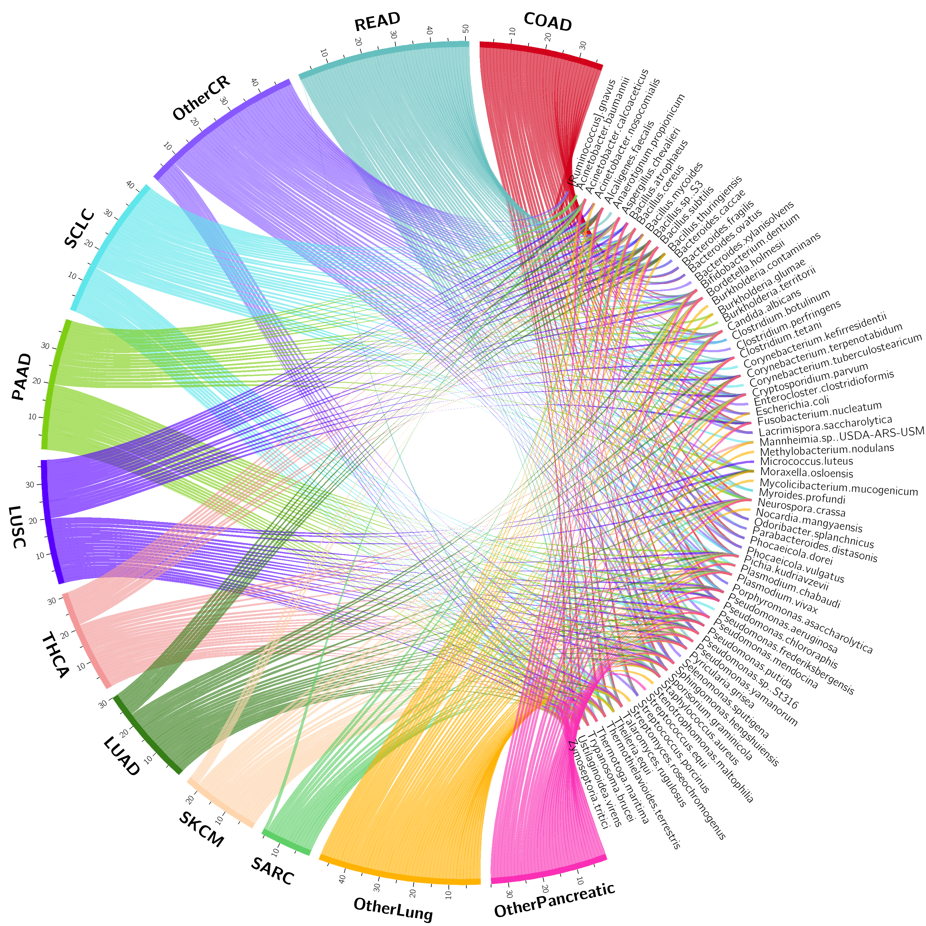 Circos Plot