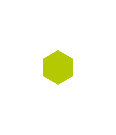 OWASP Nest