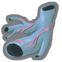 Obtained on floor 10
You cannot lose more than 20 HP in a single turn.