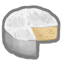 Obtained on floor 4
At the end of combat, gain 1 Max HP.