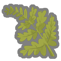 Obtained on floor 34
At the start of each combat, fill all empty potion slots with random potions.