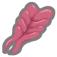 Obtained on floor 45
The first time you lose HP on your turn, heal HP equal to the amount lost.